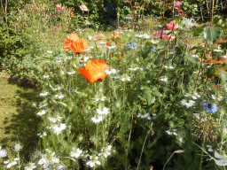Blumen