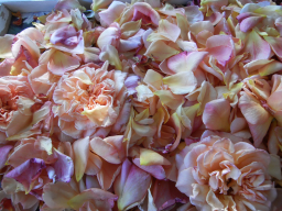 Blumen