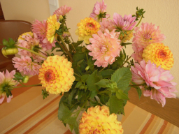 Blumen